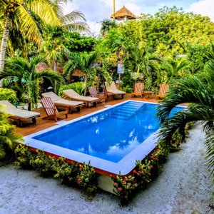 Pool and Garden