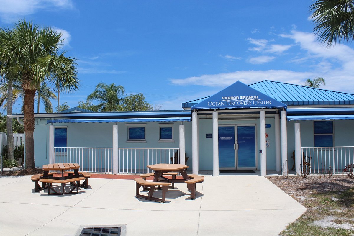 FAU Harbor Branch Oceanographic Institute (Fort Pierce) - All You Need ...