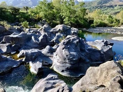 Nove gole fotke sevkine Rese, šljoke