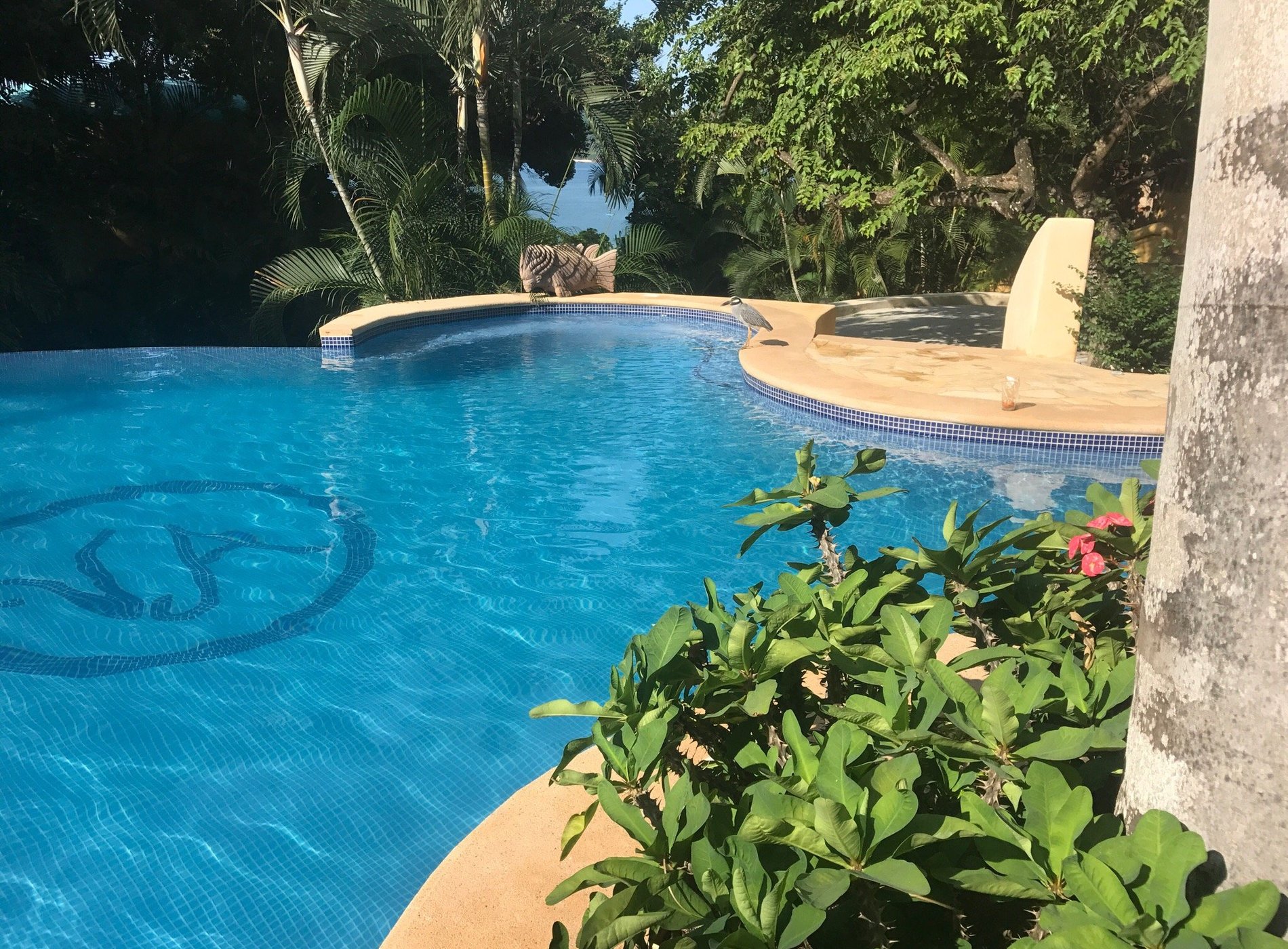 The Original Villa Amor by null