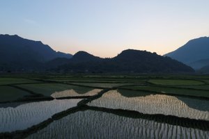 Phòng & Phòng Suite