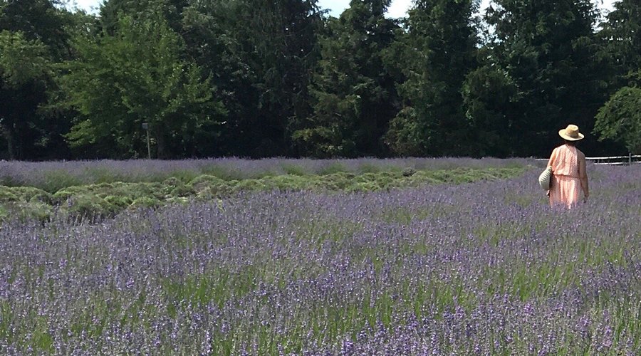 We were there at the July 4, Monday, Like the smell, like the purple. I had a good time staying 