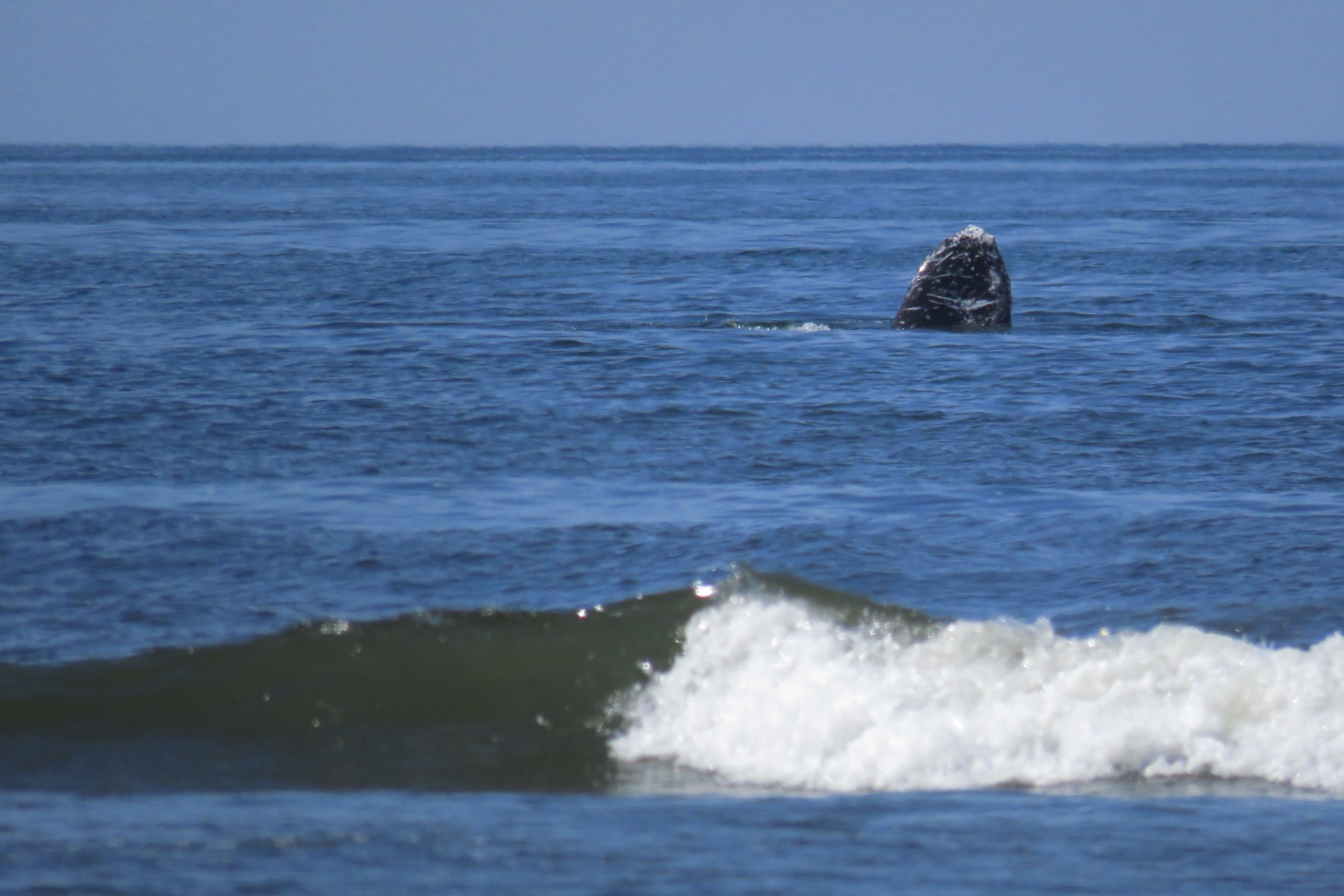 Kalaloch Lodge At Olympic National Park - รีวิวและเปรียบเทียบราคา ฟอร ...