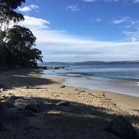 Hinsby Beach (Taroona): All You Need to Know BEFORE You Go