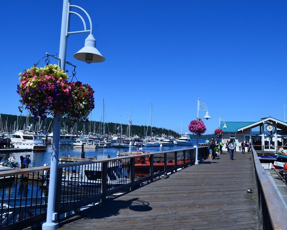 THE 15 BEST Things to Do in Friday Harbor - 2023 (with Photos ...