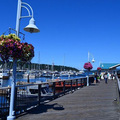 friday harbor tourist attractions