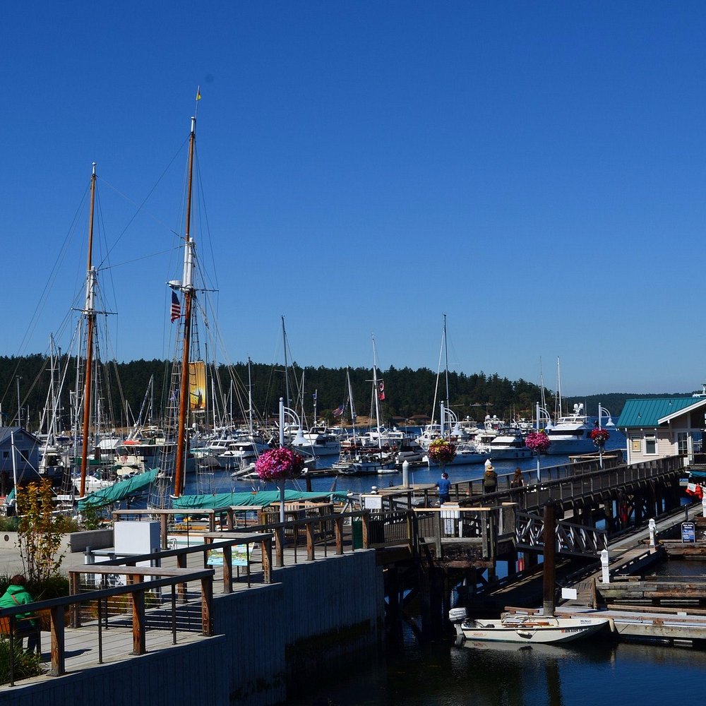 friday harbor tourist attractions