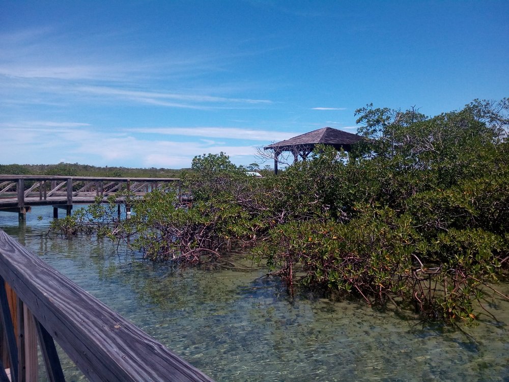 THE 15 BEST Bahamas National Parks (2025 List) - Tripadvisor