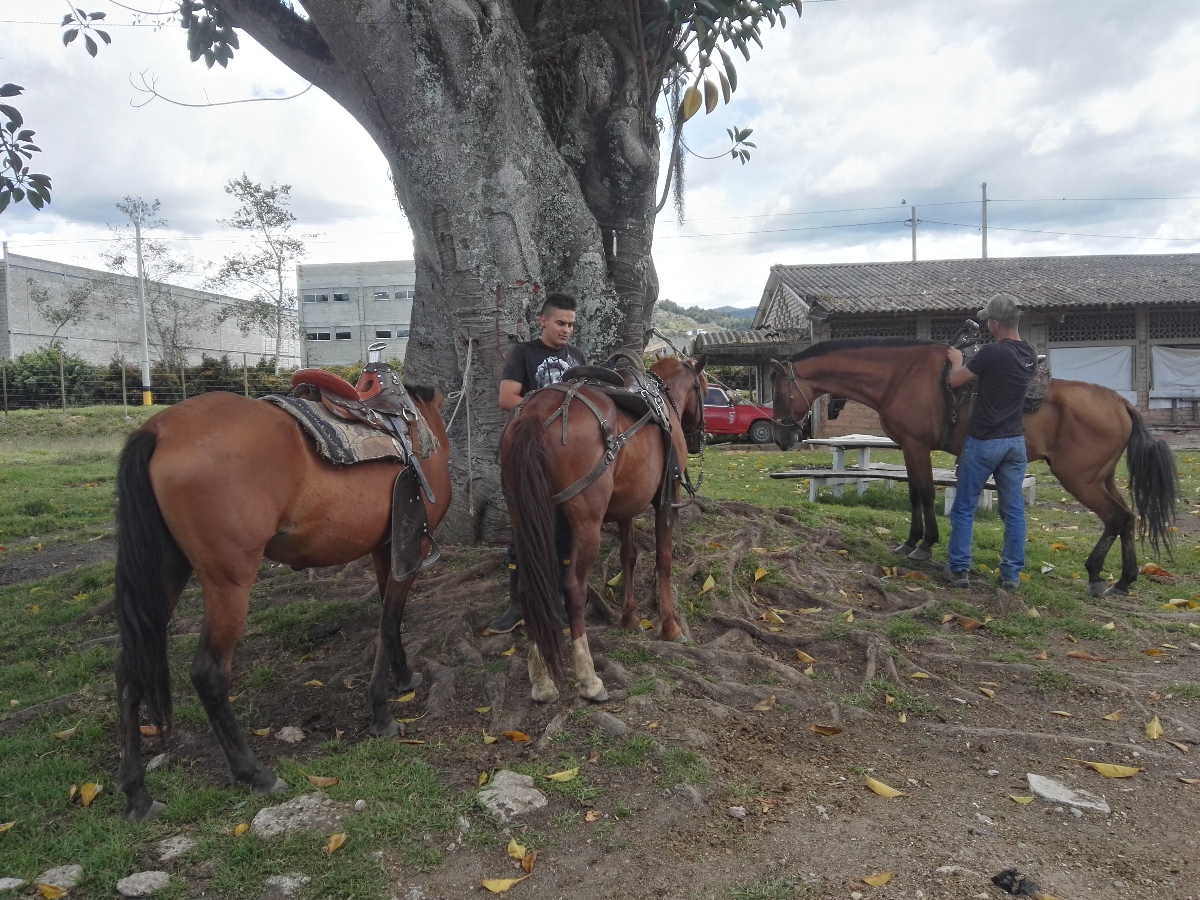 Backpage Medellin