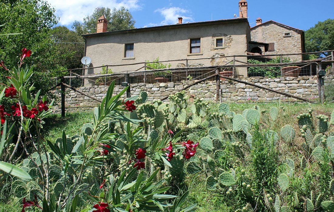 Agriturismo Borgo di Cortona image