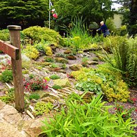 Leasowes Walled Garden