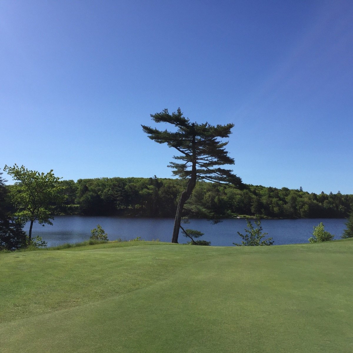 GLEN ARBOUR GOLF COURSE (Hammonds Plains) Tutto quello che c'è da sapere