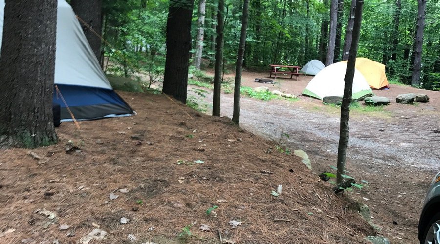 Tent site 180