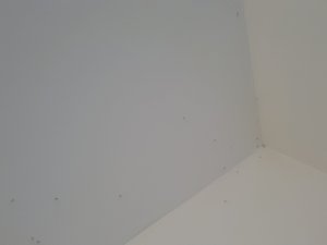 Quarto e suíte