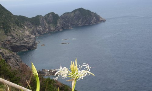 景色は抜群でした