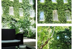 Zimmer und Suite