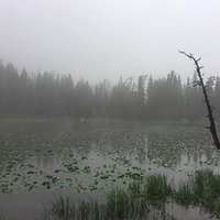 Foggy day at Nymph Lake