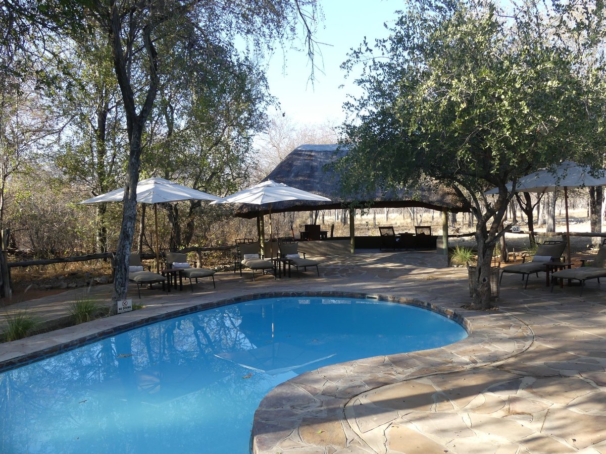 Onguma Forest Camp Pool Pictures & Reviews - Tripadvisor