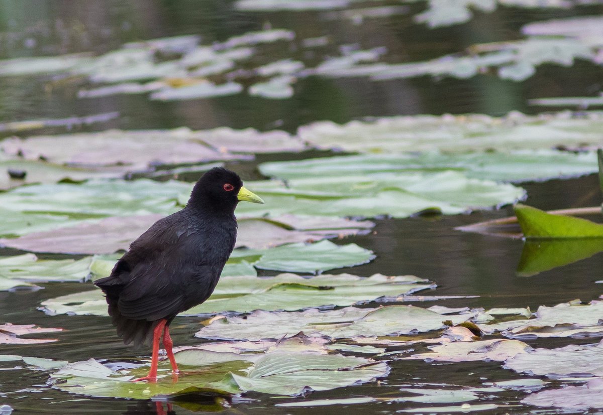 Bitou River Lodge Hiking: Pictures & Reviews - Tripadvisor