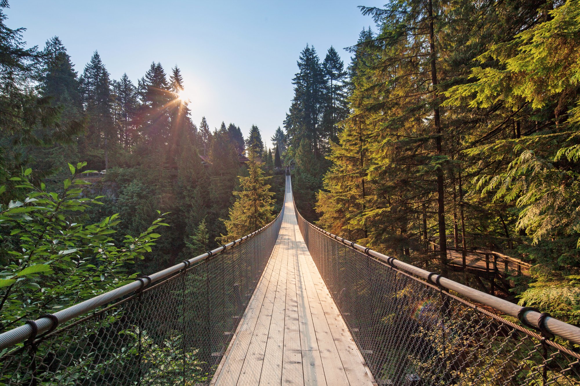 Capilano Suspension Bridge Vancouver BC