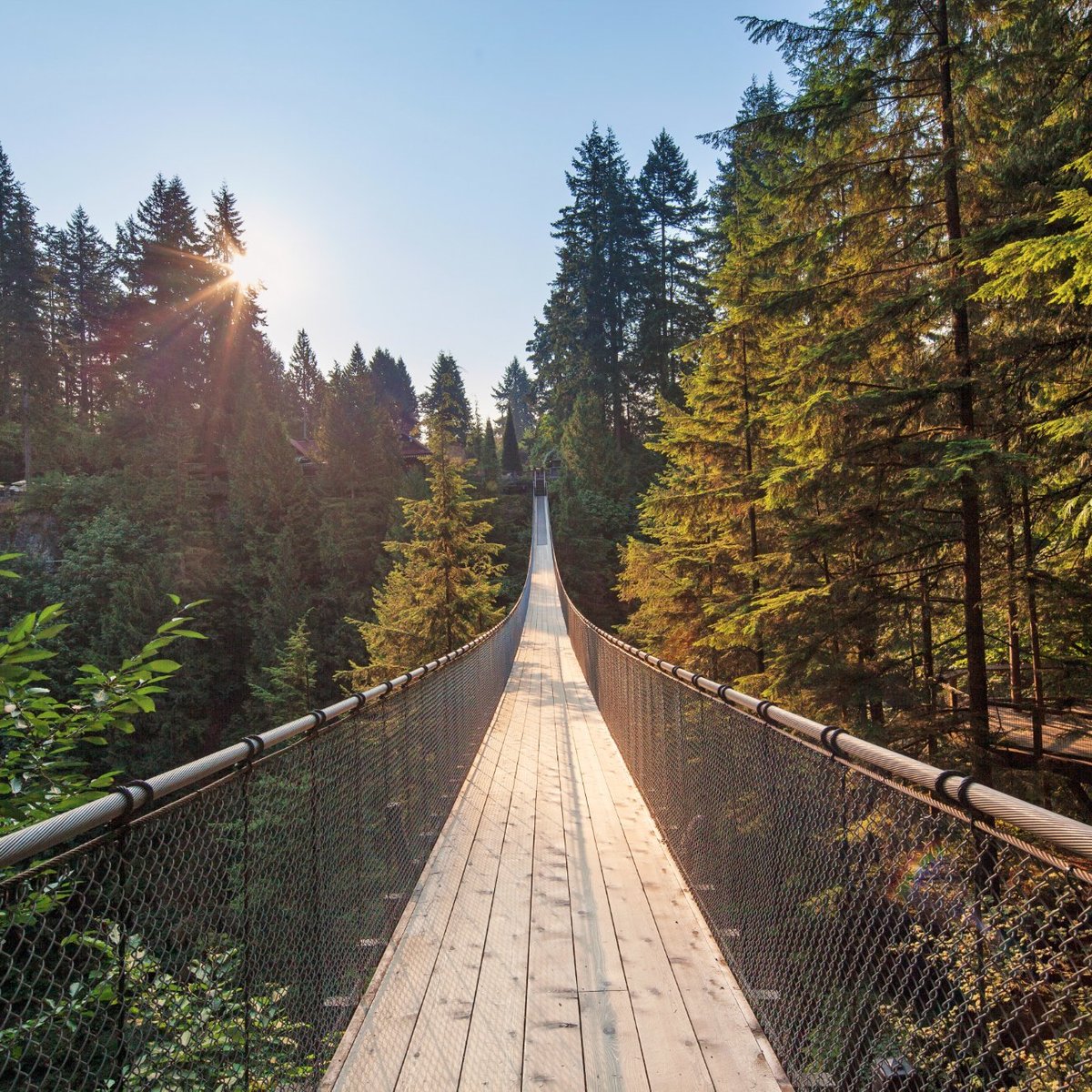 Capilano Suspension Bridge Park Vancouver