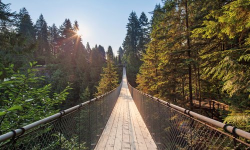 capilano suspension bridge