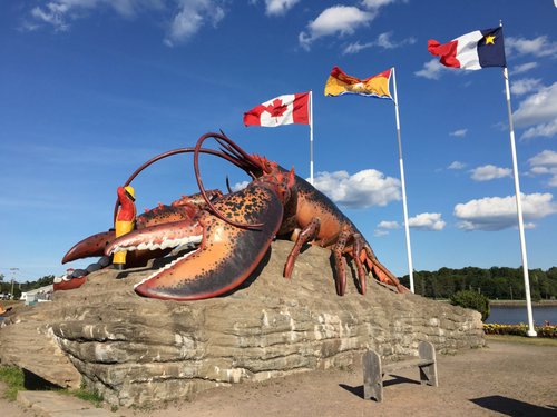 Gran río de salmones en el Fundy Trail Parkway de Nueva Brunswick