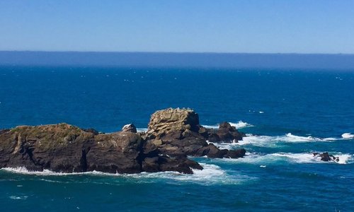Gualala Point Regional Park 4