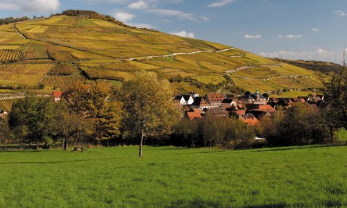Le Grand Cru Zinnkoepflé