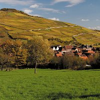 Le Grand Cru Zinnkoepflé