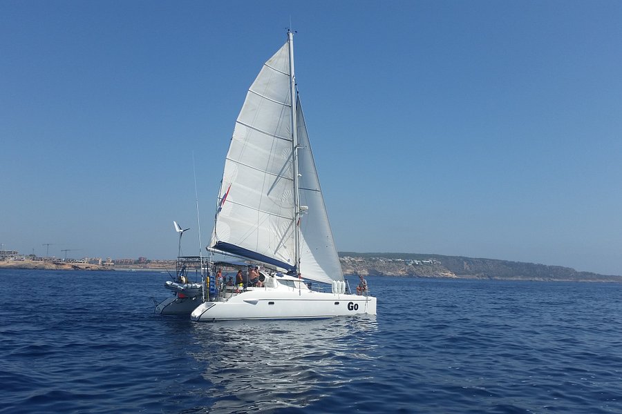 sail go catamaran mallorca