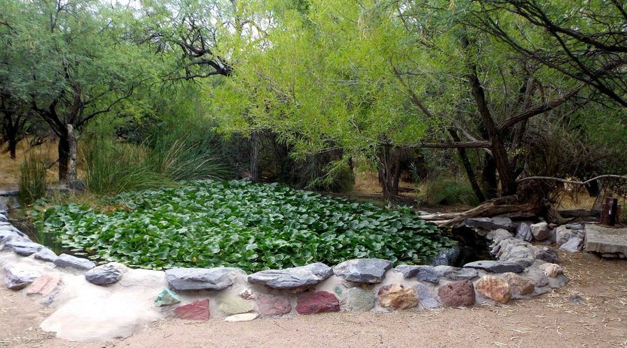 solar oasis