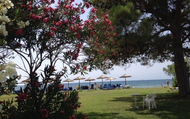 The view from our patio of the hotel lawn and beach