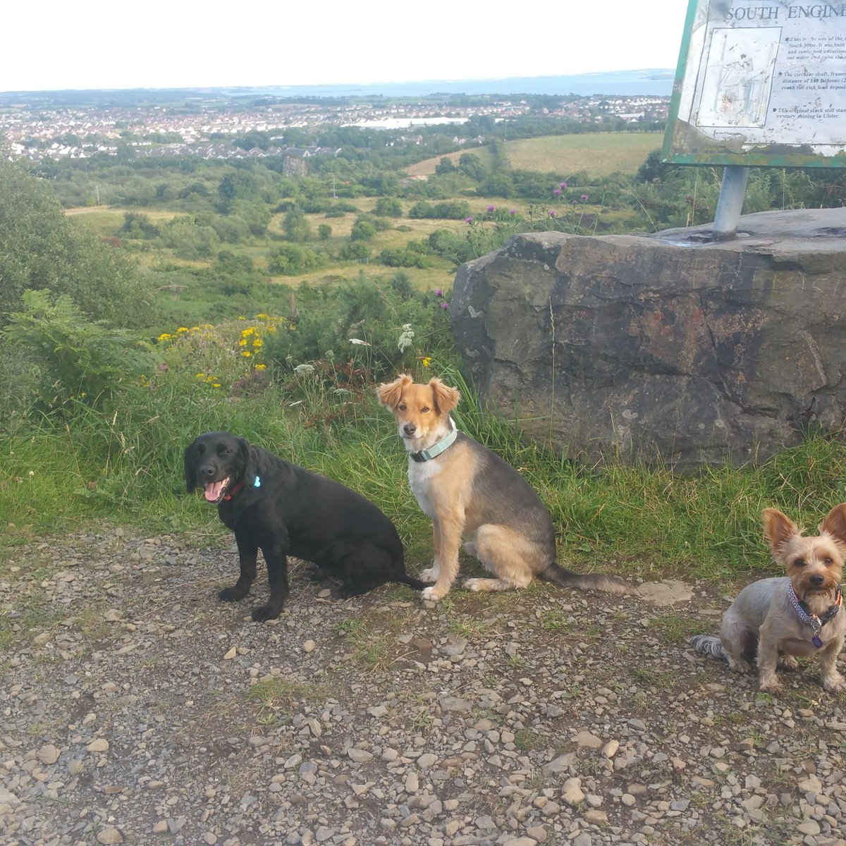 Conlig Lead Mines, Newtownards: лучшие советы перед посещением - Tripadvisor