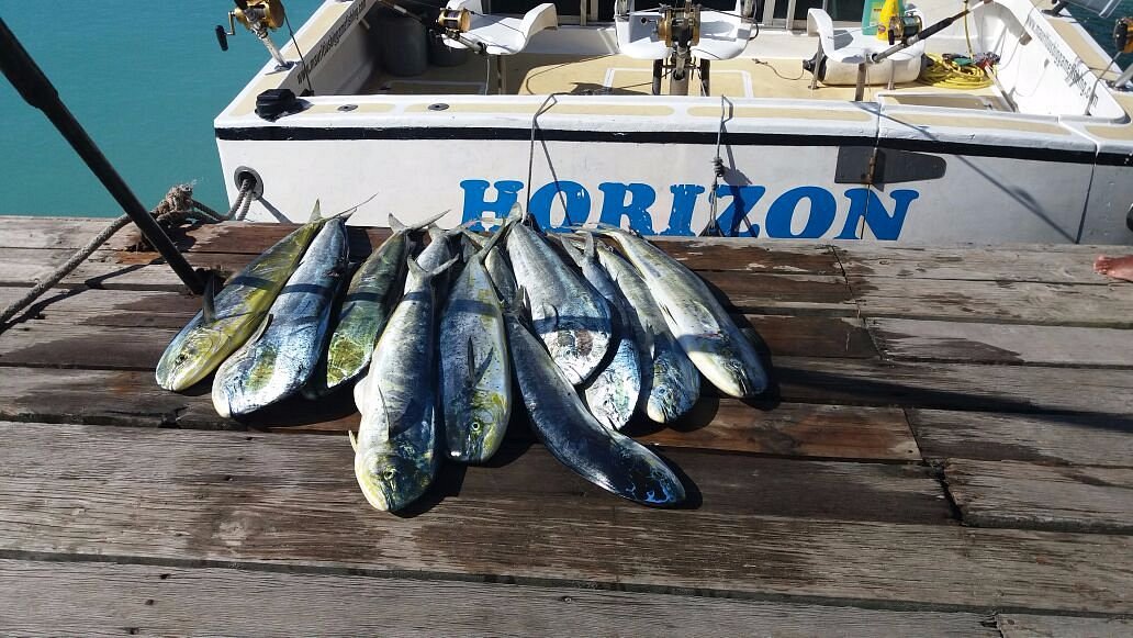 Horizon Fishing - What to Know BEFORE You Go (with Photos)