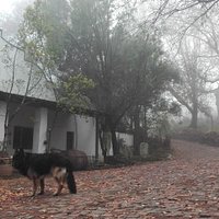 getlstd_property_photo