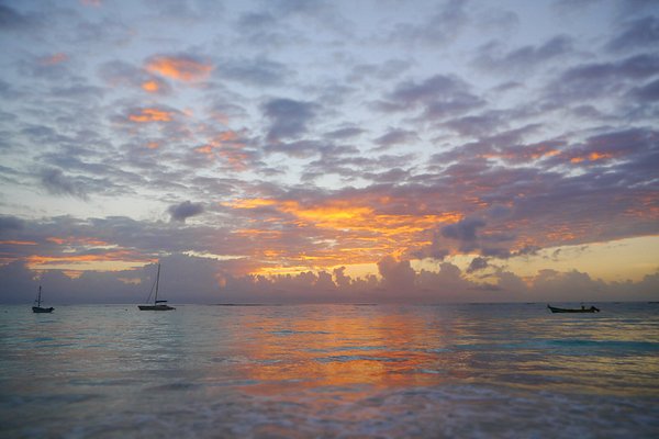 Gambitos cascabel y pan pita - Picture of El Hoyo, Tulum - Tripadvisor