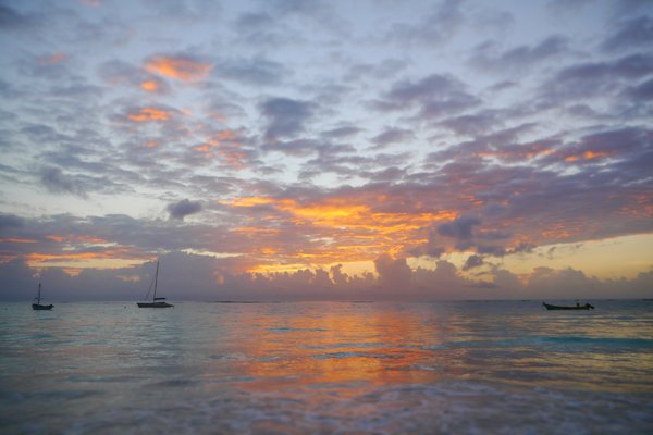 Gambitos cascabel y pan pita - Picture of El Hoyo, Tulum - Tripadvisor