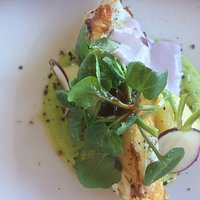 turbot