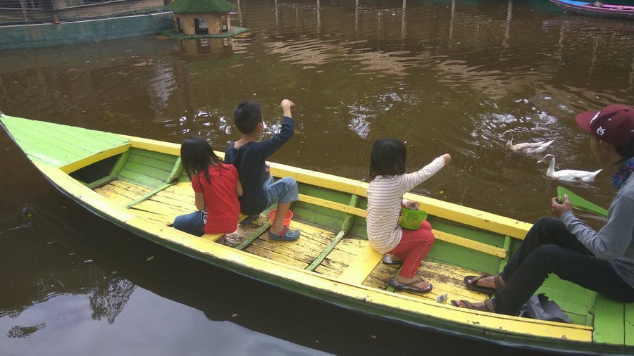 beri makan ikan