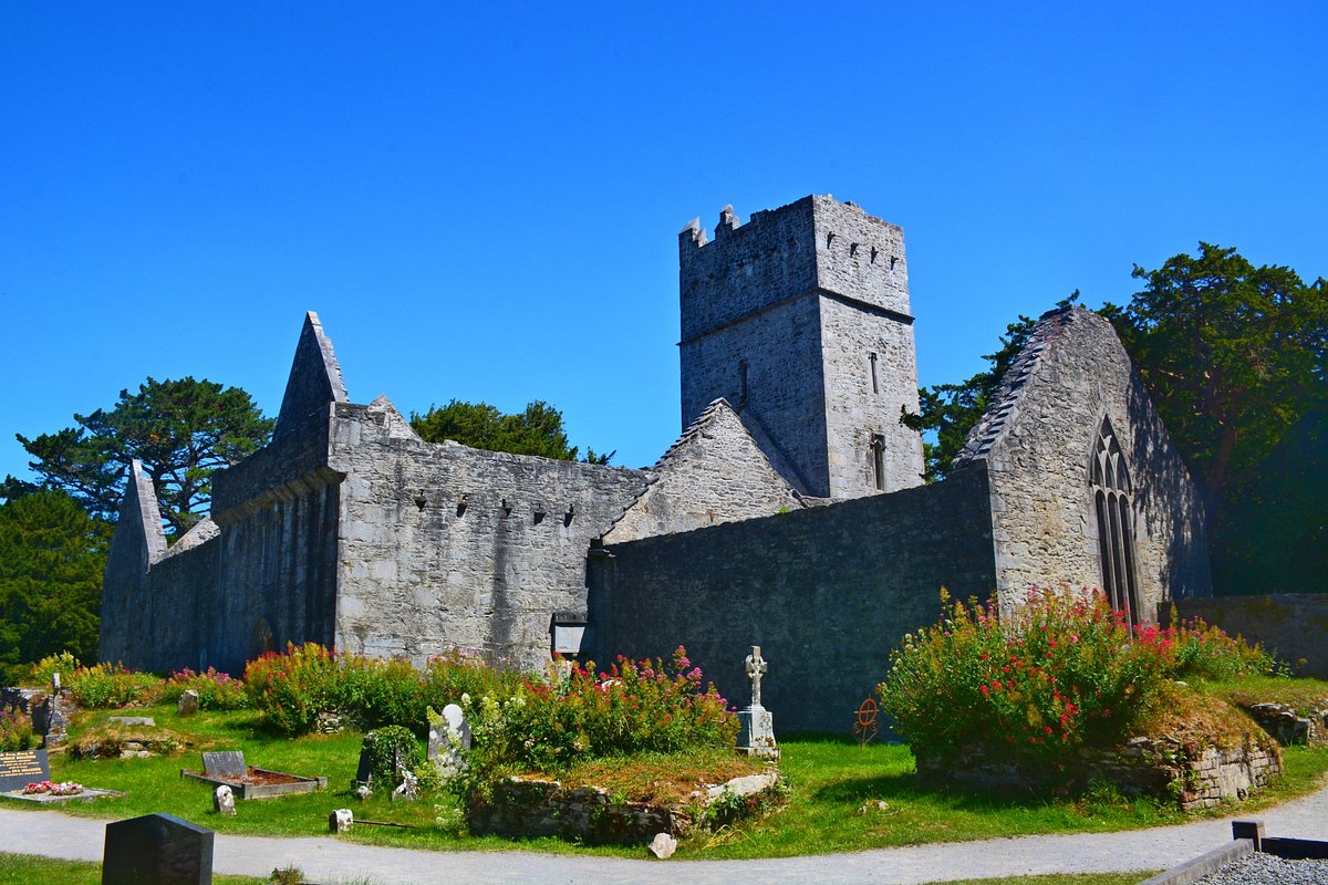 abbey travel killarney reviews