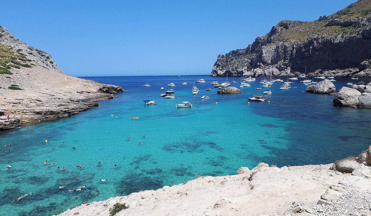 THE 15 BEST Things to Do in Port de Pollenca (2024)