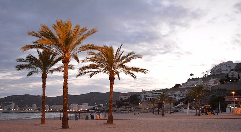 Playa de los Olivos