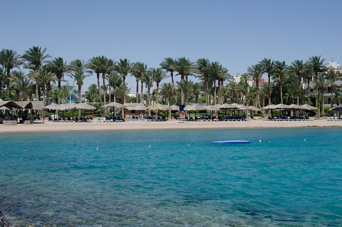 ZYA Regina Resort and Aqua Park Hurghada Pool: Pictures & Reviews ...