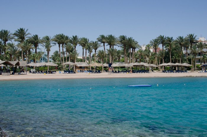 ZYA Regina Resort and Aqua Park Hurghada Pool Pictures & Reviews ...