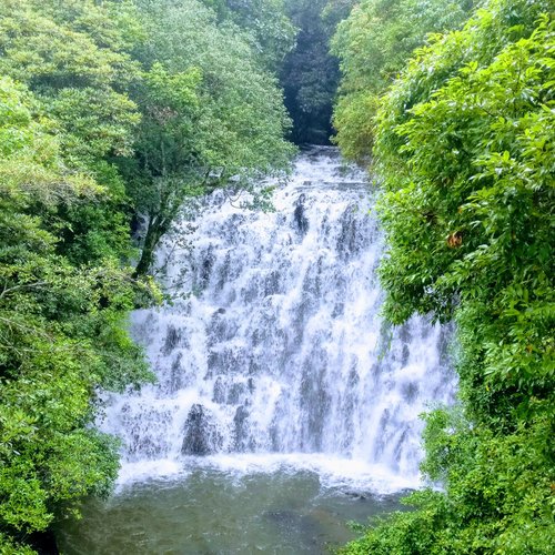 Elephant Falls (Shillong) - All You Need to Know BEFORE You Go (with  Photos) - Tripadvisor