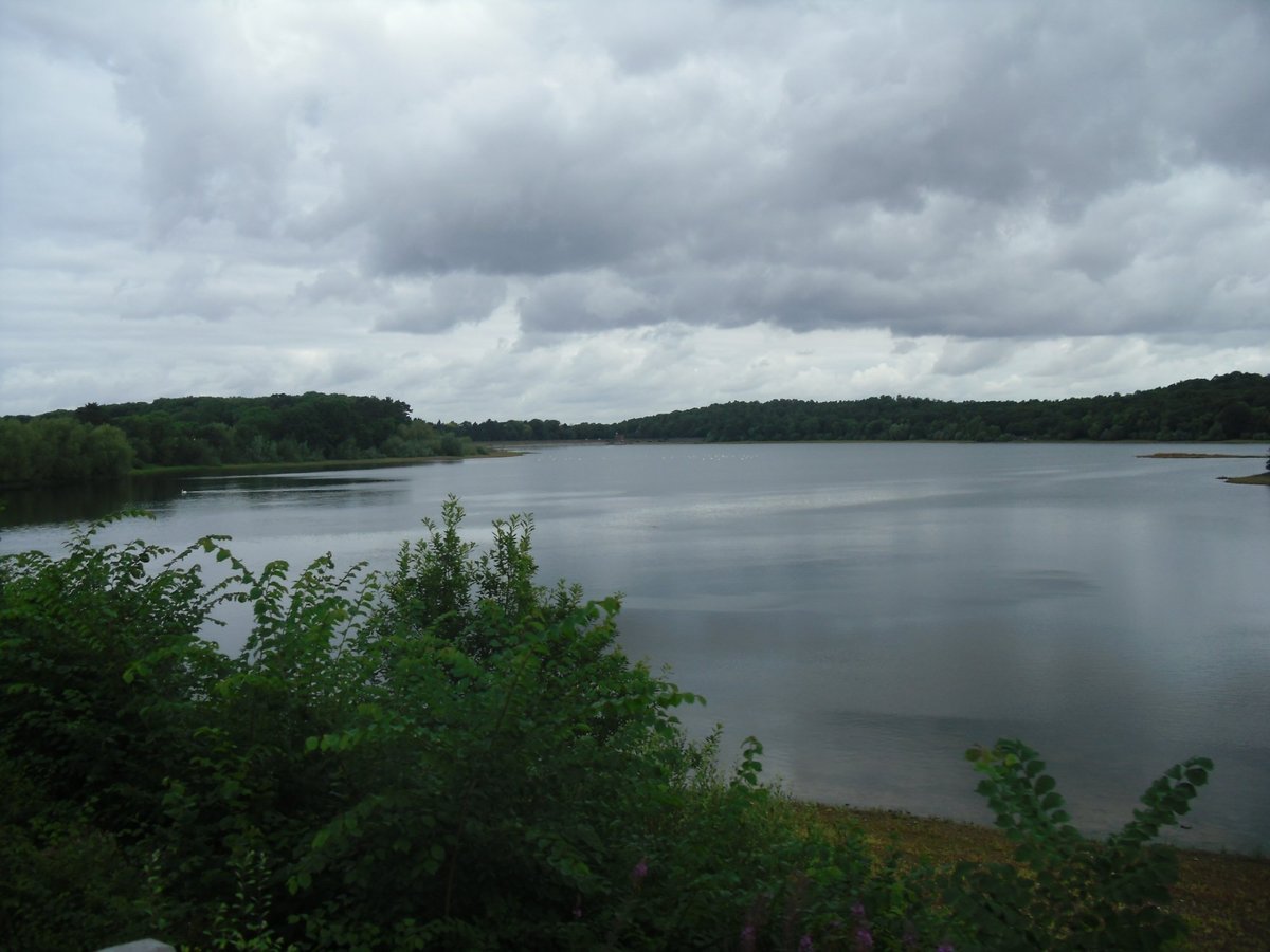 Swithland Reservoir - All You Need To Know Before You Go (2024)