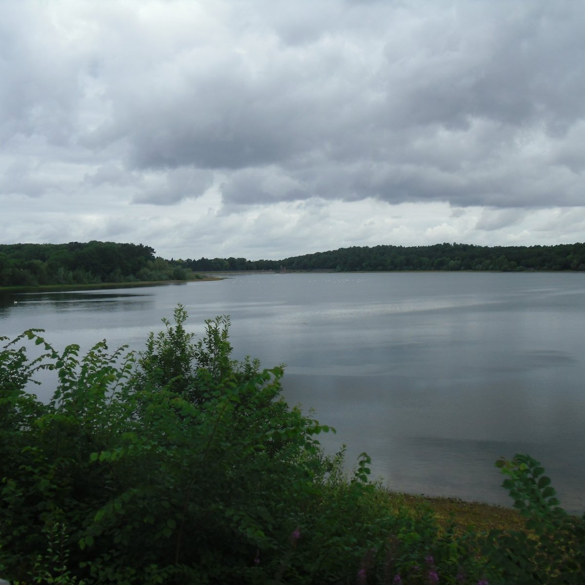 SWITHLAND RESERVOIR (2024) All You Need to Know BEFORE You Go (with ...