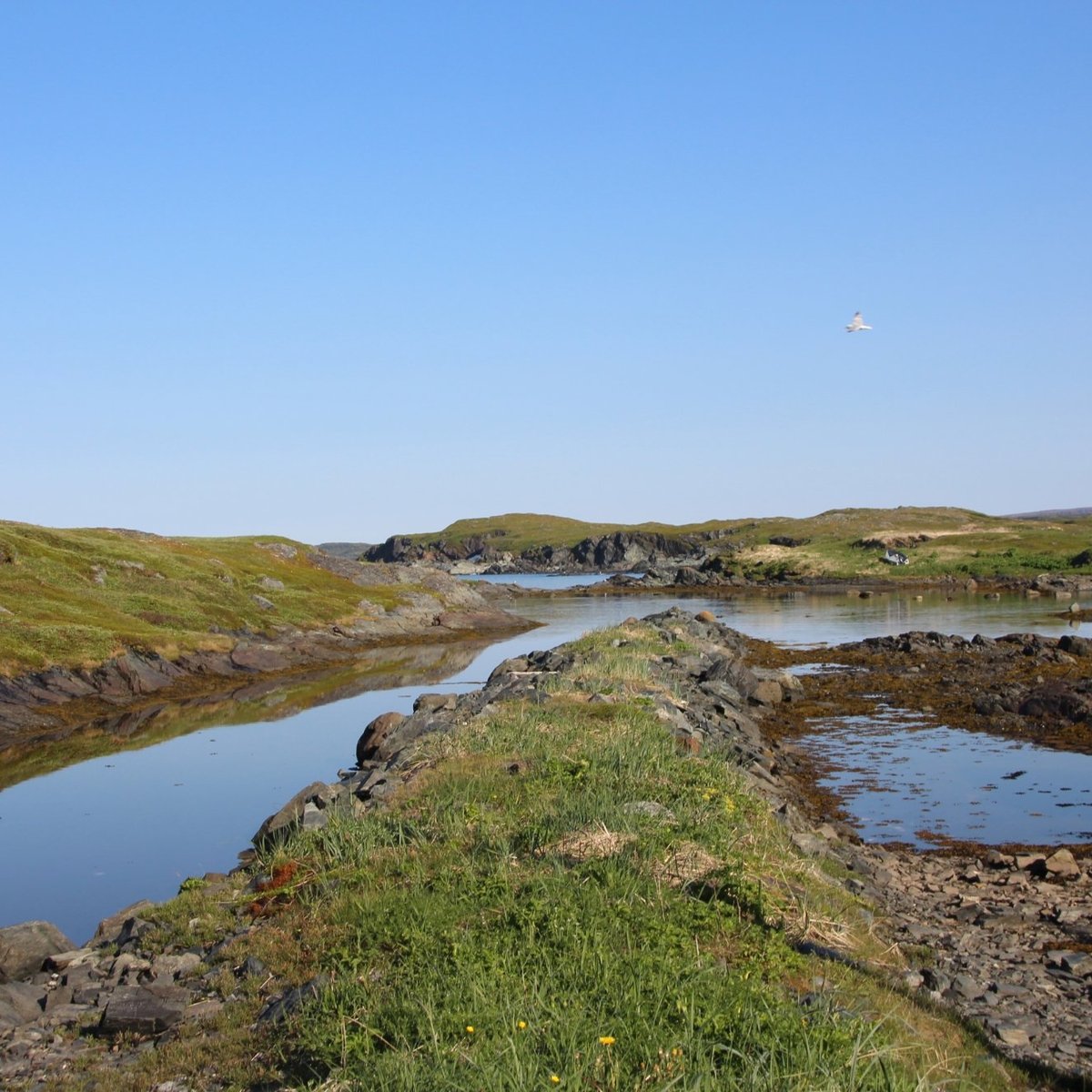 Pumley Cove Trail (St. Anthony) - All You Need to Know BEFORE You Go