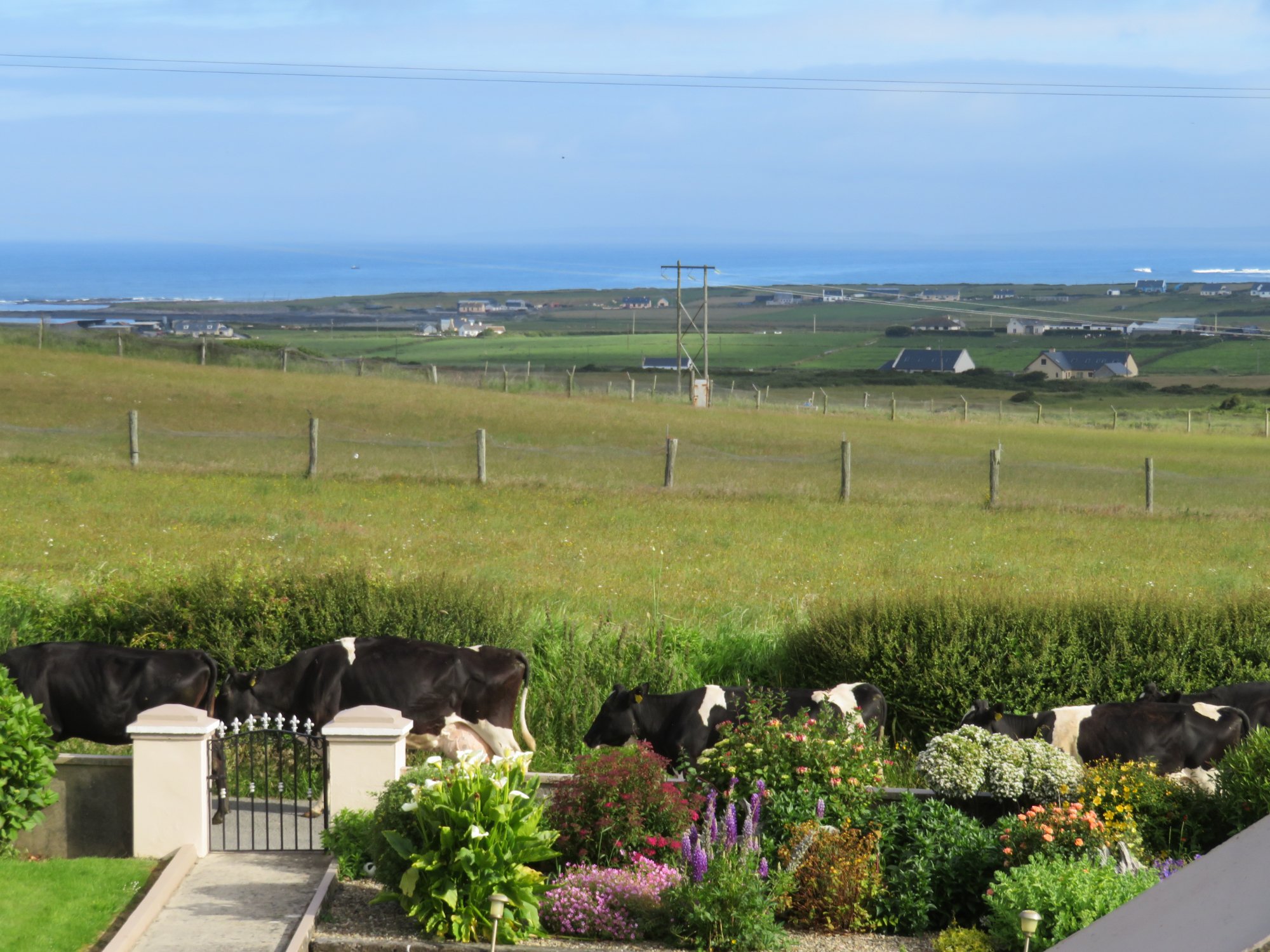 SEA CREST FARMHOUSE B&B - Updated 2024 Villa Reviews (Quilty, Ireland)